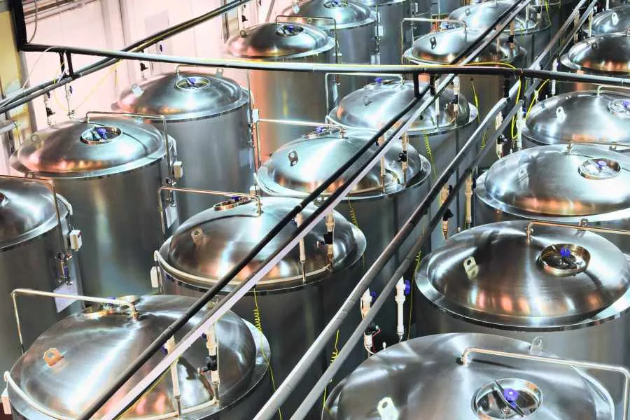 fermentation technology for lipid extraction